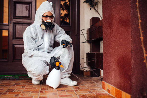 Reliable Ant Control contractor in Placerville, CA by Nex Pest Control